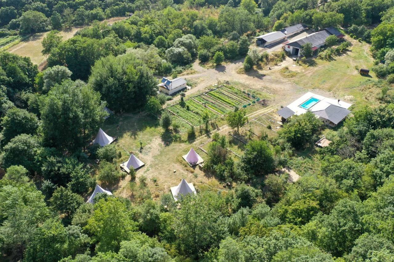 Gipsy Village Park Hotel Asureti Extérieur photo